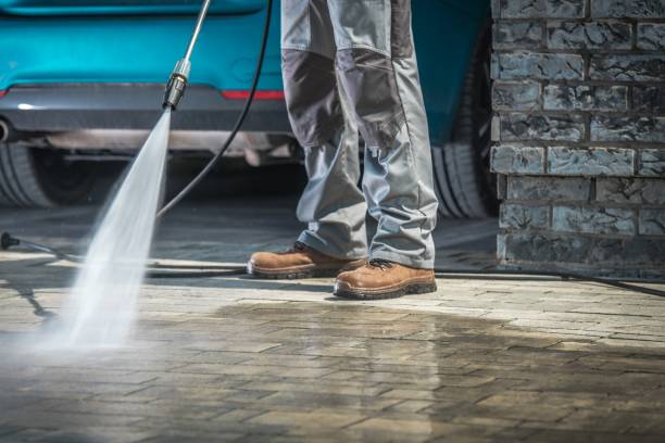 Best Roof Washing  in Immokalee, FL